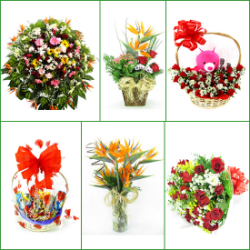 FLORICULTURAS Igarapé, cestas de café da manhã e coroas de flores